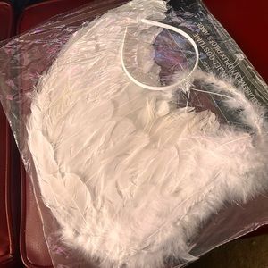 Angel and Fairy Costume Wings